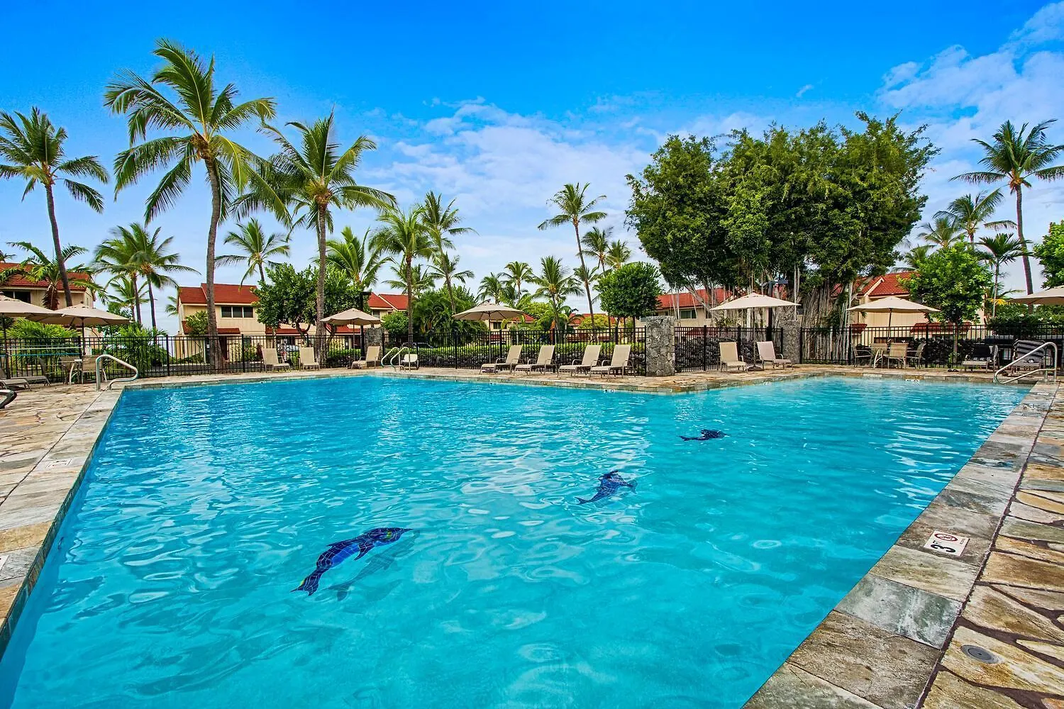 度假居 凯路亚-科纳Keauhou Kona Surf And Racquet Club 2 304别墅
